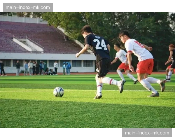 合肥市推动学校和企事业单位足球场课余工余时间向社会开放